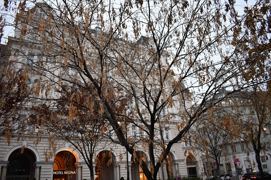 Hotel Regina